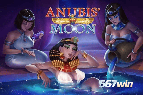 Multi-Sport Coverage